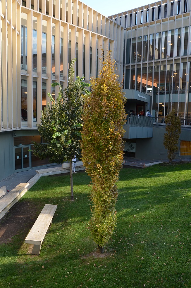 No s'ha trobat l'arxiu